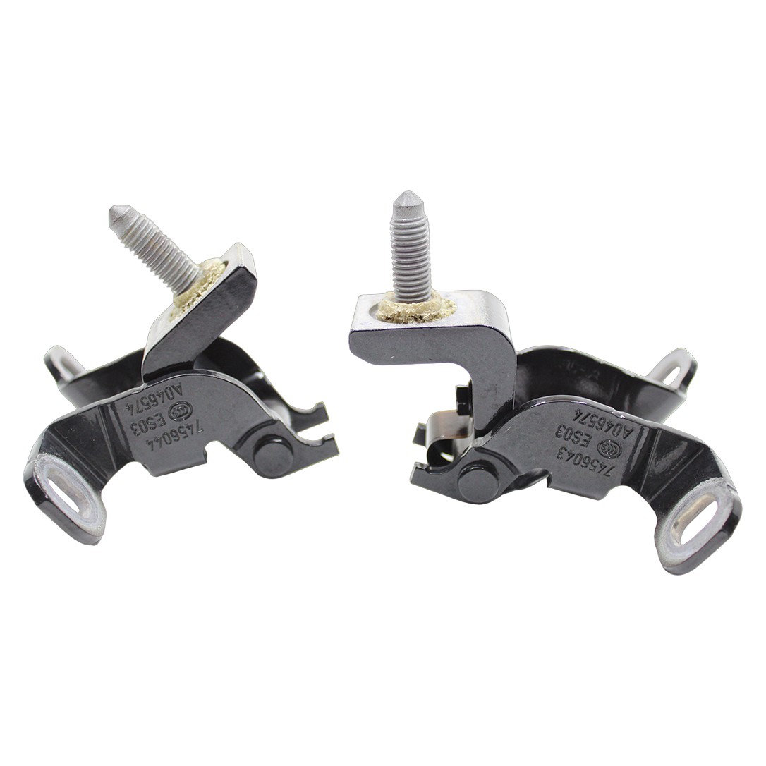 Dobradiça da tampa da mala (kit) Bmw Série 1 F40 7456043